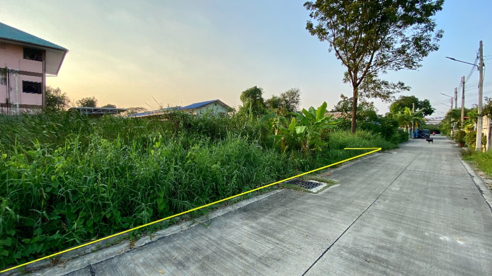 ขายที่ดินมหาชัย สมุทรสาคร : ขายที่ดินถนนเศรษฐกิจ 1 ซอย 3, กระทุ่มแบน สมุทรสาคร 93 ตารางวา ราคาดี ผังสีม่วง