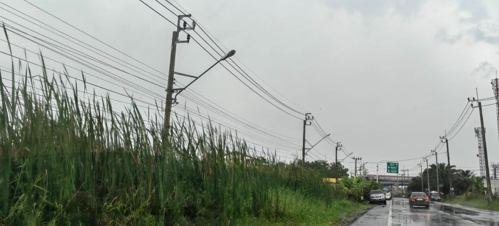 ขายที่ดินลาดกระบัง สุวรรณภูมิ : ขาย ที่ดิน 20 ไร่ ทำเลดี ติด ถ.คุ้มเกล้า ตรงข้าม ม.ลาดกระบัง ห่างเส้นเลียบมอเตอร์เวย์ เพียง 200 เมตร