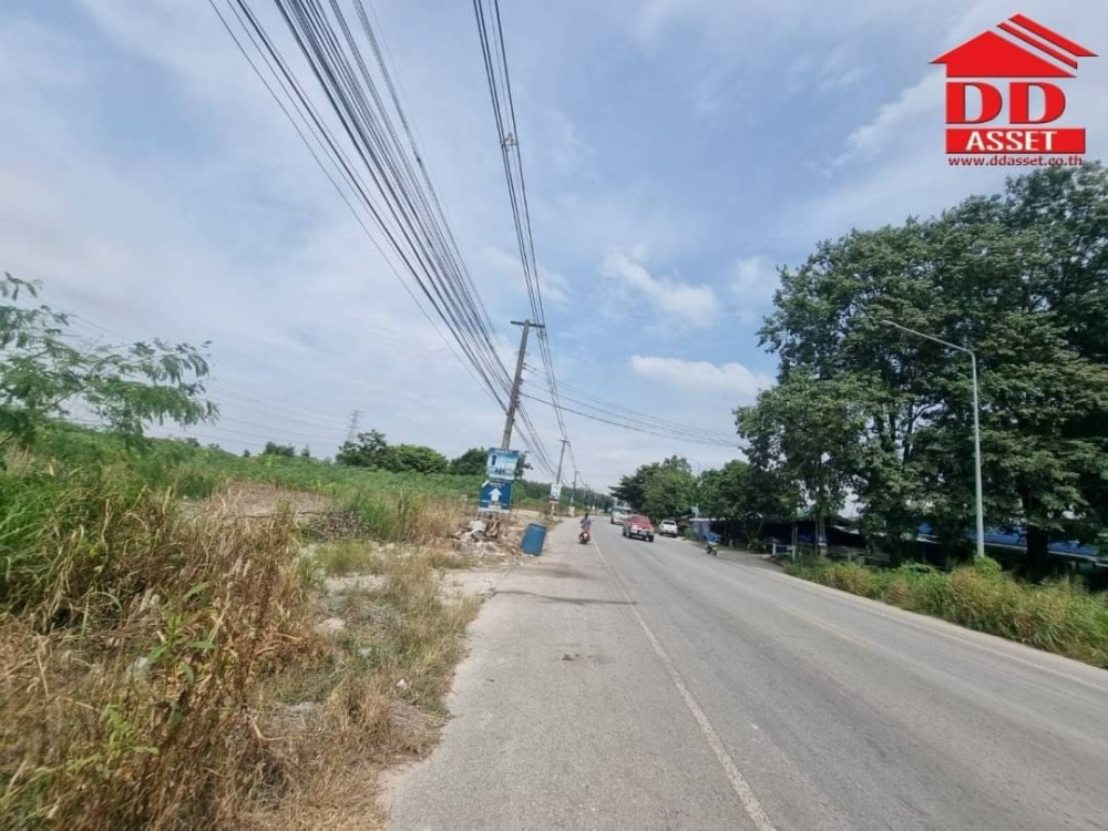 ขายที่ดินระยอง : ขายที่ดิน มาบข่า หนองผักหนาม ระยอง ติดถนน แหล่งชุมชน เหมาะสร้าง บ้านจัดสรร โกดัง โรงงาน