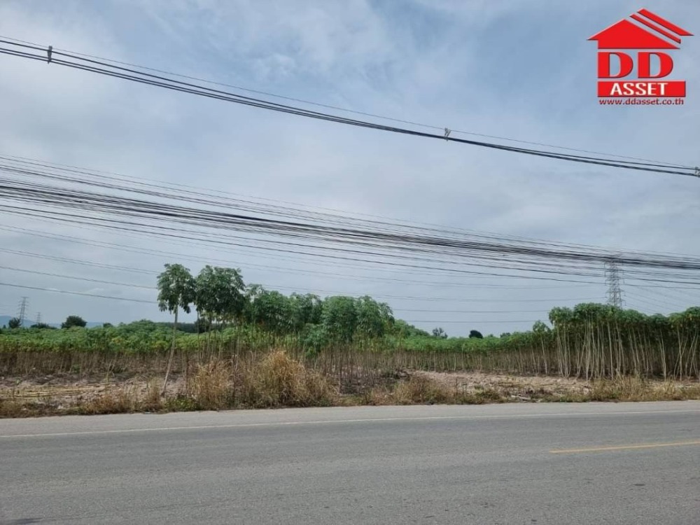 ขายที่ดินระยอง : ขายที่ดิน มาบข่า หนองผักหนาม ระยอง ติดถนน แหล่งชุมชน เหมาะสร้าง บ้านจัดสรร โกดัง โรงงาน