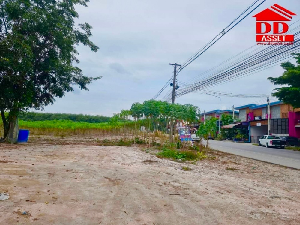 ขายที่ดินระยอง : ขายที่ดิน มาบข่า หนองผักหนาม ระยอง ติดถนน แหล่งชุมชน เหมาะสร้าง บ้านจัดสรร โกดัง โรงงาน