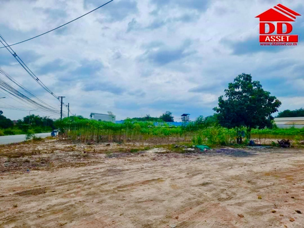 ขายที่ดินระยอง : ขายที่ดิน มาบข่า หนองผักหนาม ระยอง ติดถนน แหล่งชุมชน เหมาะสร้าง บ้านจัดสรร โกดัง โรงงาน