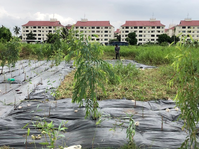 For SaleLandLadkrabang, Suwannaphum Airport : Empty land, rectangular shape, area 1 rai, width approximately 25 meters, length approximately 60 meters.