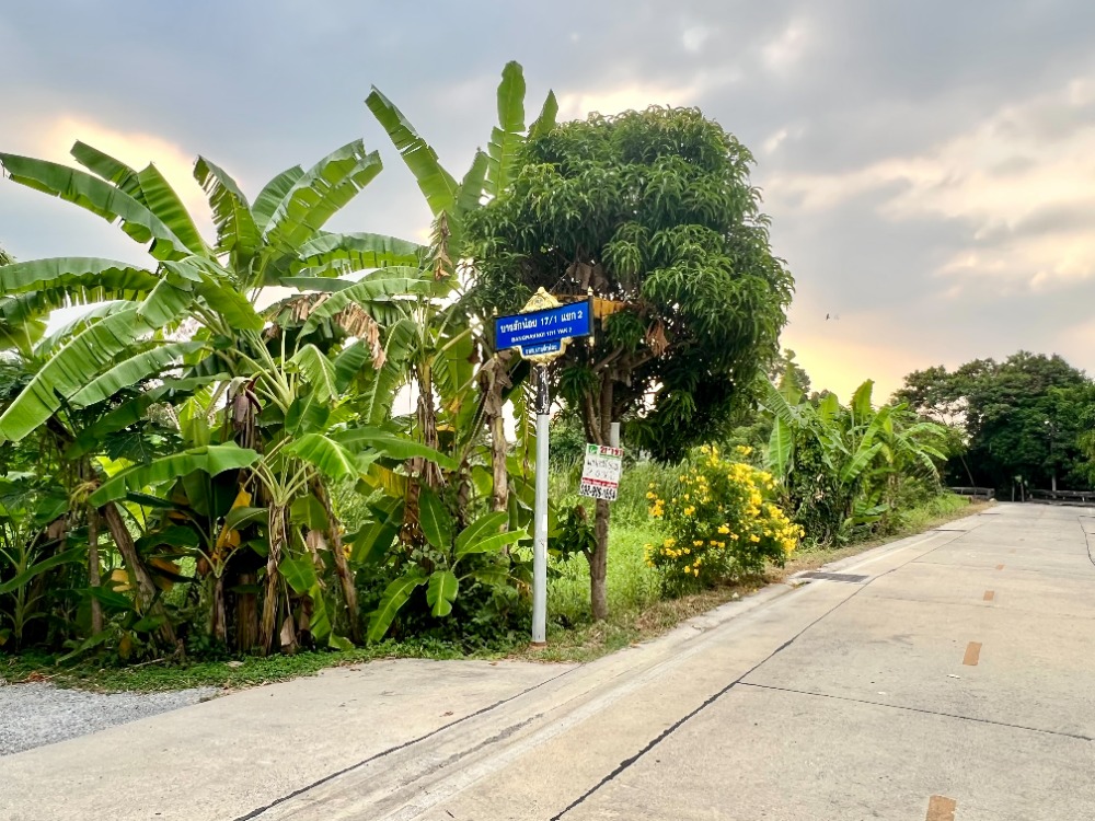 ขายที่ดินนนทบุรี บางใหญ่ บางบัวทอง : ขายที่ดินติดคลองอ้อมนนท์