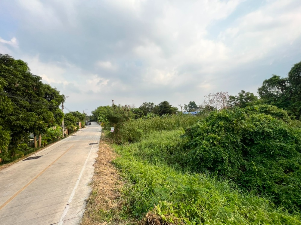 ขายที่ดินนนทบุรี บางใหญ่ บางบัวทอง : ขายที่ดินติดคลองอ้อมนนท์