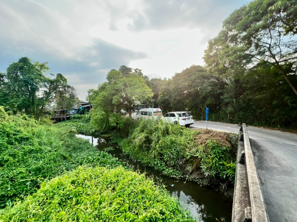 ขายที่ดินนนทบุรี บางใหญ่ บางบัวทอง : ขายที่ดินติดคลองอ้อมนนท์