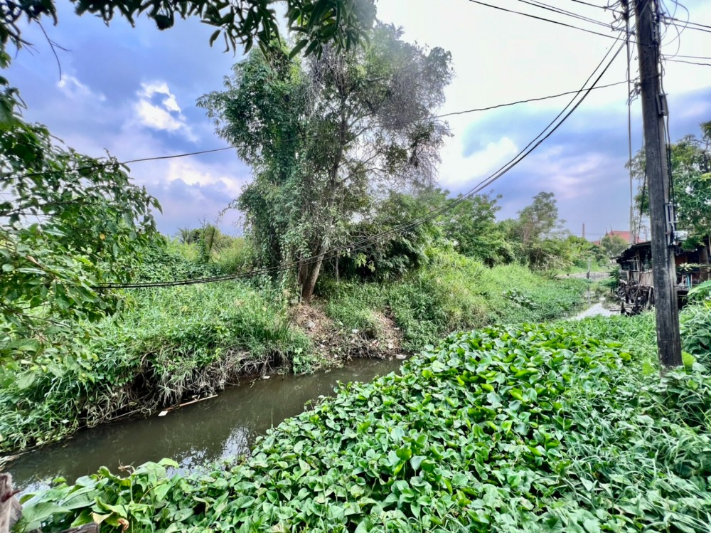 ขายที่ดินนนทบุรี บางใหญ่ บางบัวทอง : ขายที่ดินติดคลองอ้อมนนท์