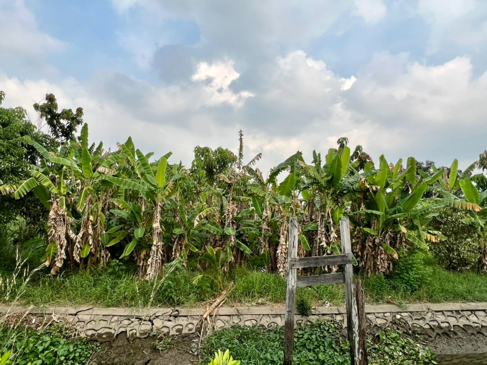 ขายที่ดินนนทบุรี บางใหญ่ บางบัวทอง : ขายที่ดินติดคลองอ้อมนนท์