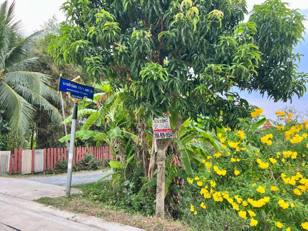 ขายที่ดินนนทบุรี บางใหญ่ บางบัวทอง : ขายที่ดินติดคลองอ้อมนนท์