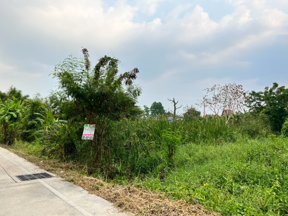 ขายที่ดินนนทบุรี บางใหญ่ บางบัวทอง : ขายที่ดินติดคลองอ้อมนนท์