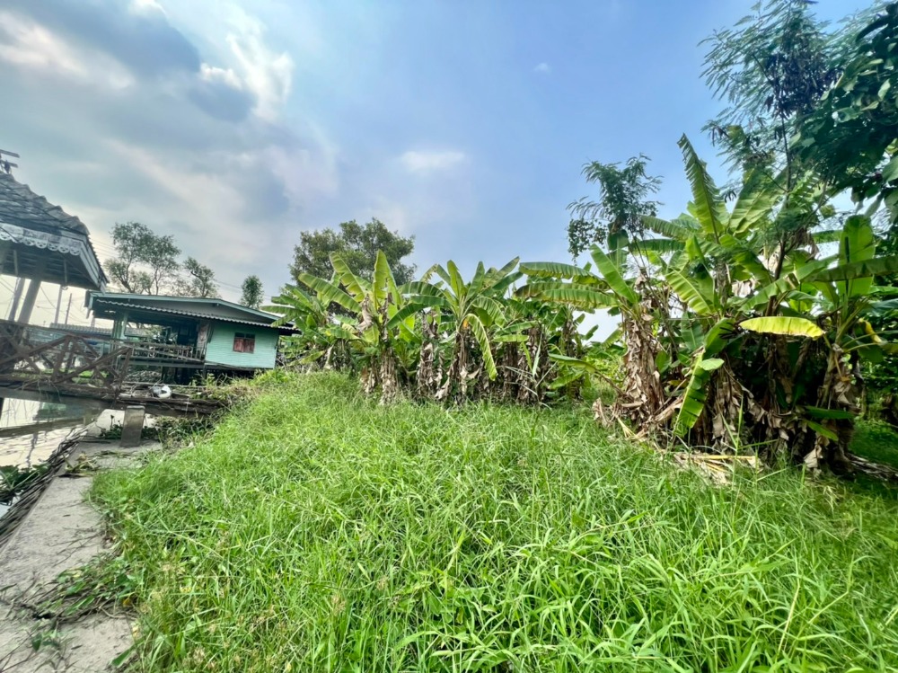 ขายที่ดินนนทบุรี บางใหญ่ บางบัวทอง : ขายที่ดินติดคลองอ้อมนนท์