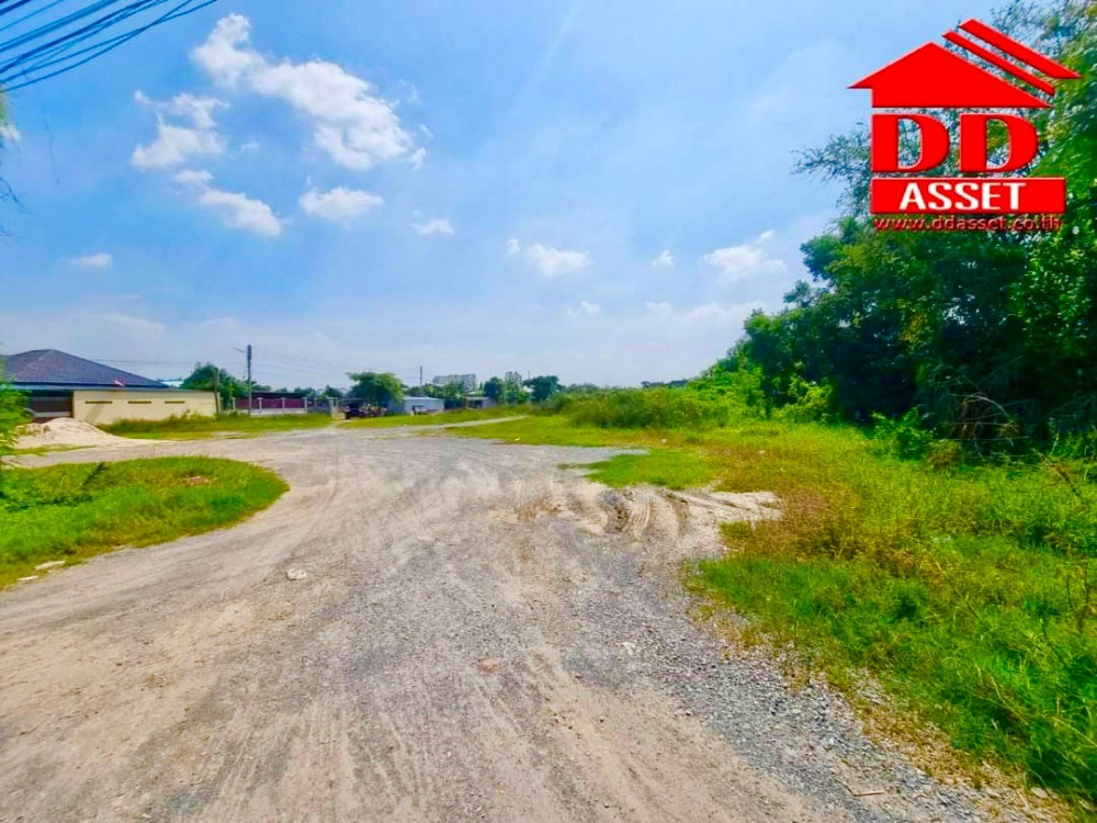 ขายที่ดินนครปฐม : ขายที่ดินเปล่า ติดถนน ซอยปฐมอโศก บ้านแพ้ว นครปฐม ติดถนน 2 ฝั่ง