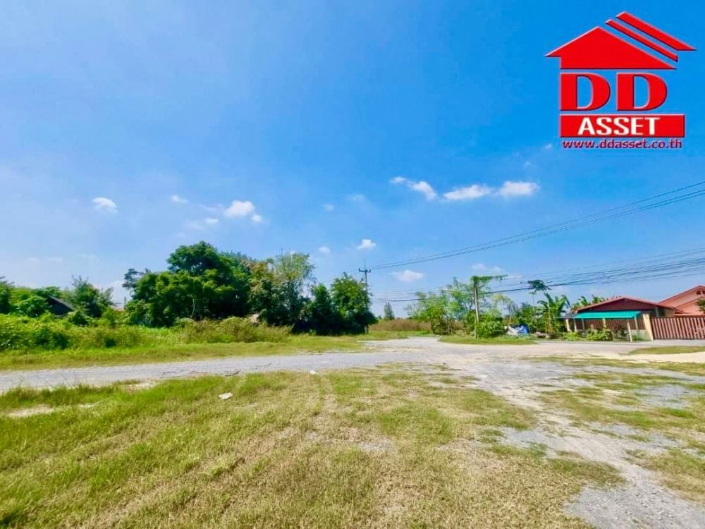 ขายที่ดินนครปฐม : ขายที่ดินเปล่า ติดถนน ซอยปฐมอโศก บ้านแพ้ว นครปฐม ติดถนน 2 ฝั่ง