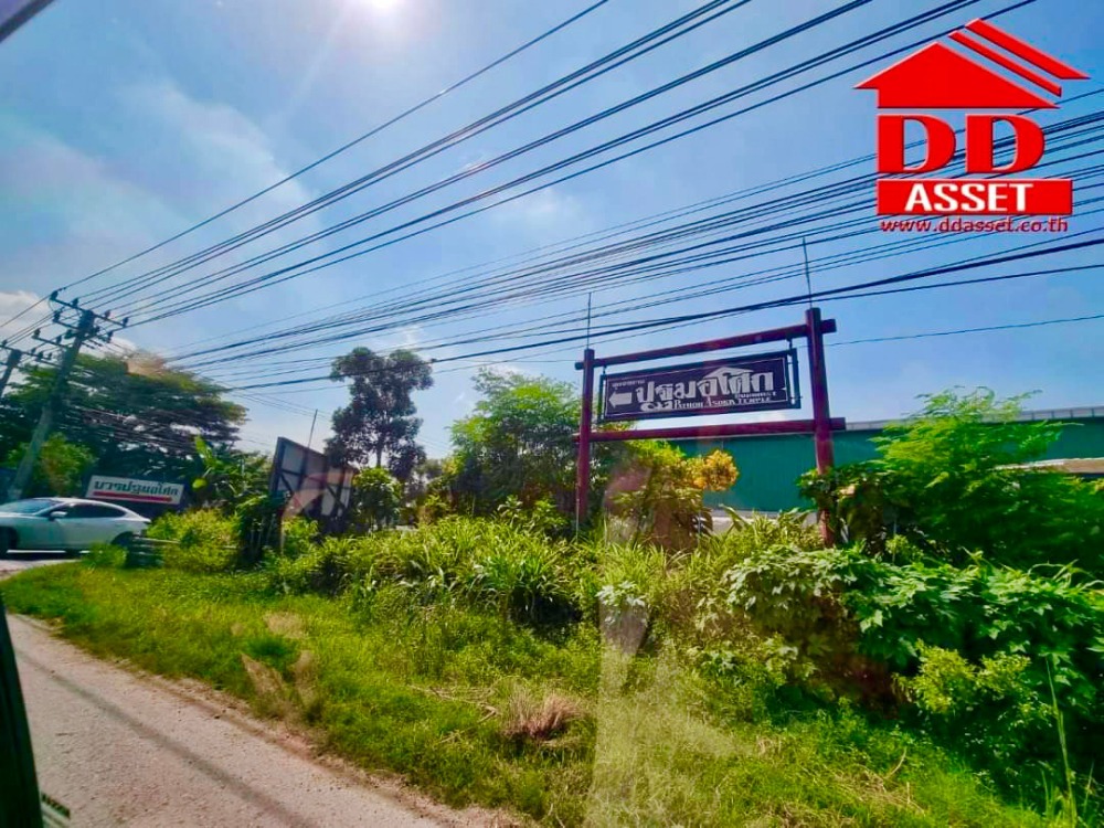 ขายที่ดินนครปฐม : ขายที่ดินเปล่า ติดถนน ซอยปฐมอโศก บ้านแพ้ว นครปฐม ติดถนน 2 ฝั่ง