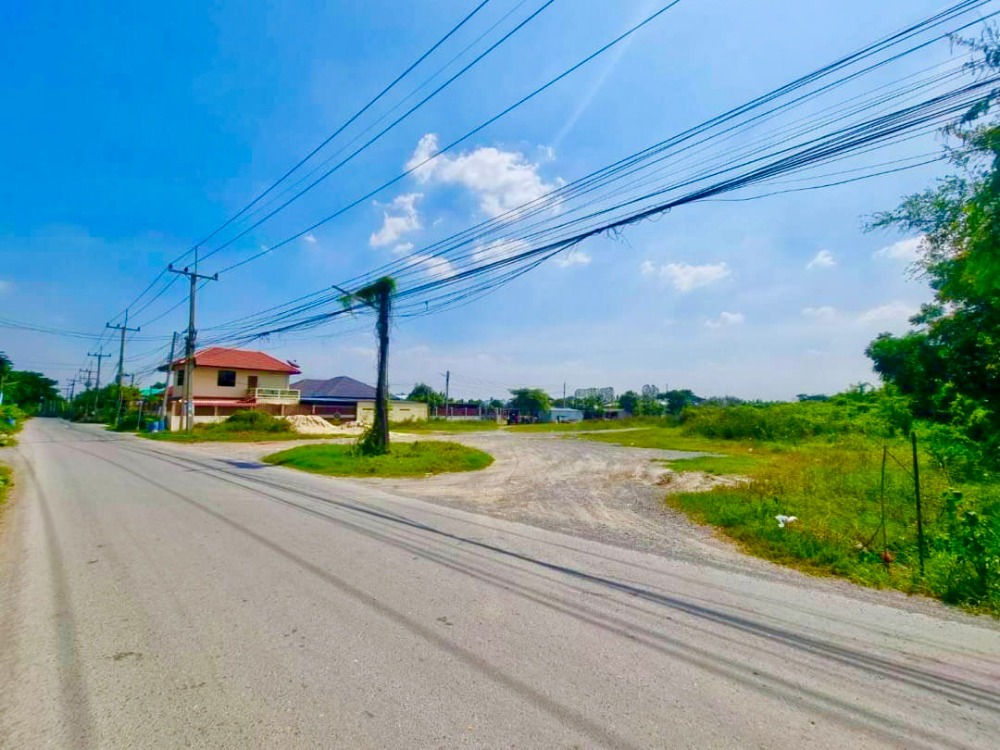 ขายที่ดินนครปฐม : ขายที่ดินเปล่า ติดถนน ซอยปฐมอโศก บ้านแพ้ว นครปฐม ติดถนน 2 ฝั่ง