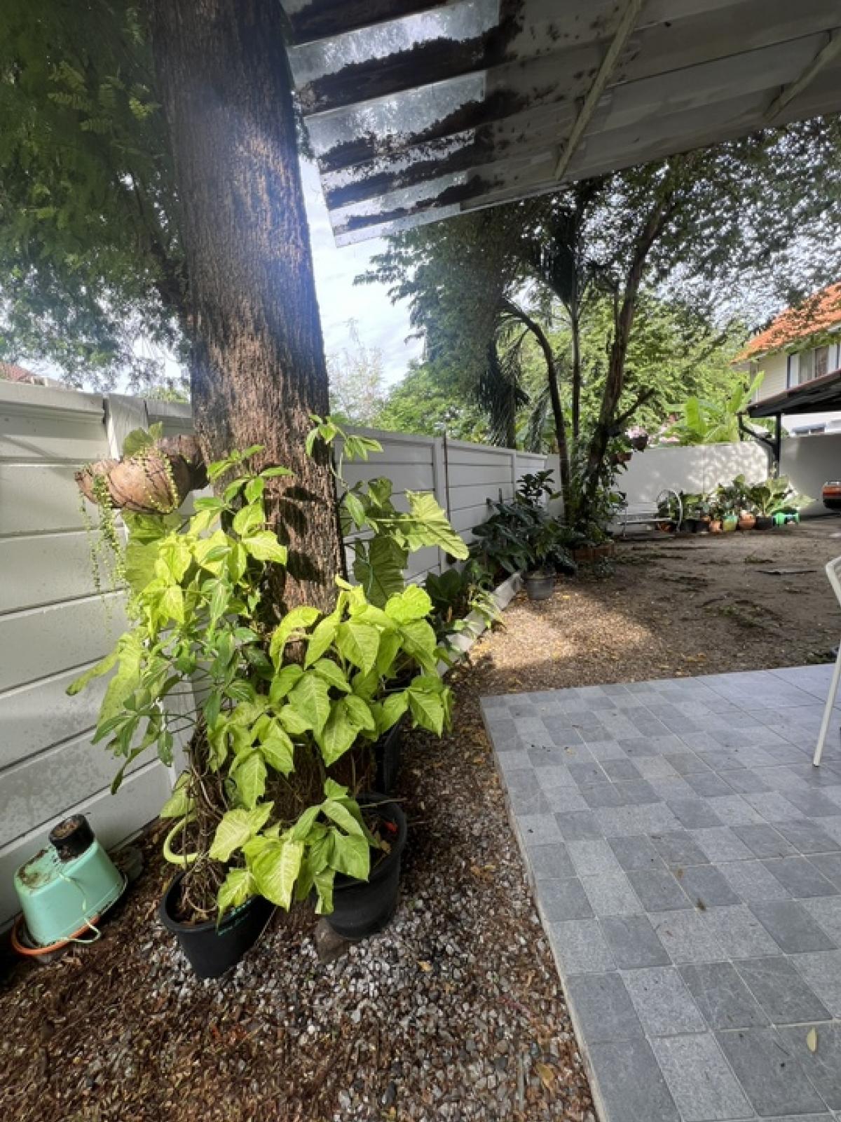 ขายทาวน์โฮมสมุทรปราการ สำโรง : 📌เจ้าของขายเอง 🏠💥ขายด่วนบ้านแฝด หมู่บ้านพฤกษา 28/1 ขนาด 49.6 ตรว. นิคมบางปู-แพรกษา สมุทรปราการ