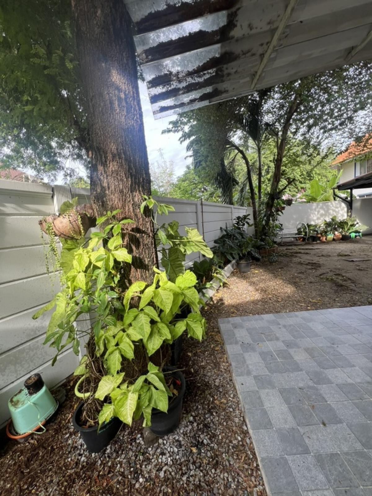 ขายทาวน์โฮมสมุทรปราการ สำโรง : 📌เจ้าของขายเอง 🏠💥ขายด่วนบ้านแฝด หมู่บ้านพฤกษา 28/1 ขนาด 49.6 ตรว. นิคมบางปู-แพรกษา สมุทรปราการ