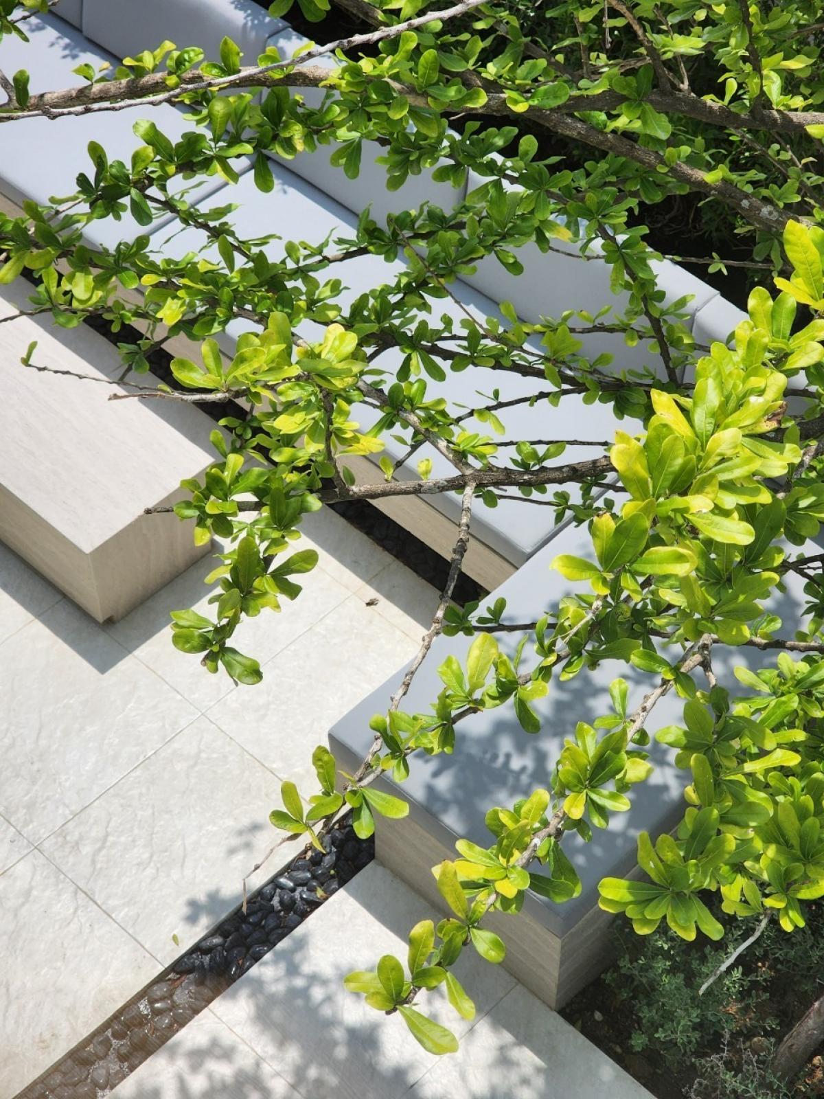 ขายบ้านหัวหิน ประจวบคีรีขันธ์ : บ้านหรูติดทะเลชะอำสำหรับคุณ