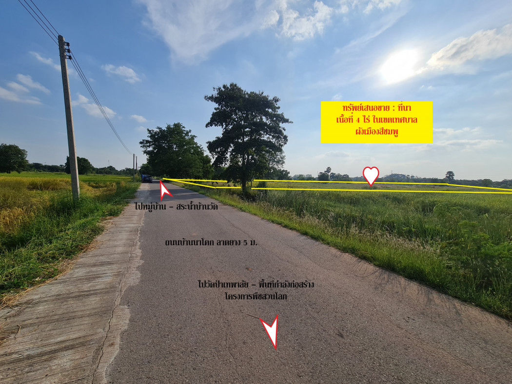 Land for sale in the municipal area, Thepalai Subdistrict, Kong District, Nakhon Ratchasima Province, area 4 rai, near the construction area of the World Horticultural Project, year 2029, price reduced, want to sell now. Loading...