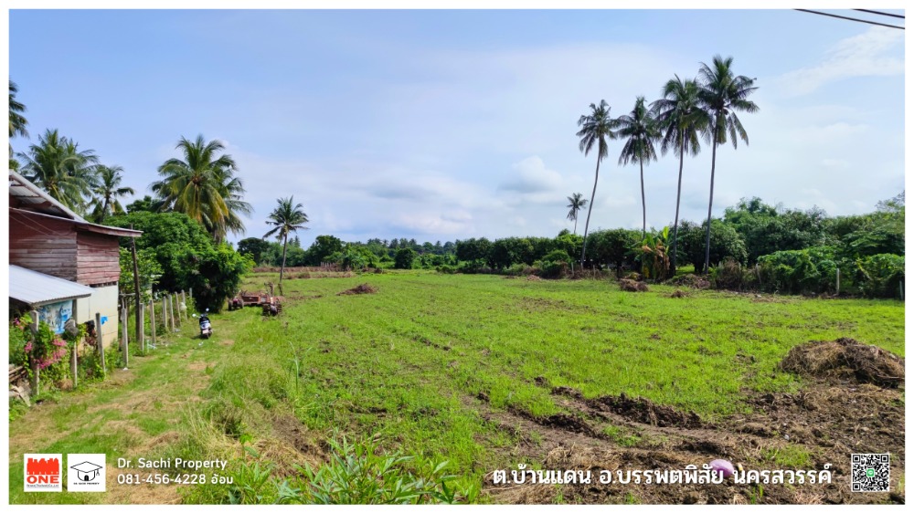 ขายที่ดินนครสวรรค์ : ขายที่ดินสวย ติดแม่น้ำปิง 13-3-72 ไร่ ต.บ้านแดน อ.บรรพตพิสัย จ.นครสวรรค์