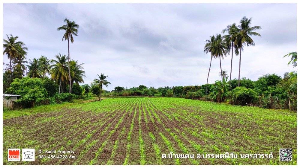 For SaleLandNakhon Sawan : Land for sale next to the Ping River, 13-3-72 rai, with additional land, Ban Dan Subdistrict, Banphot Phisai District, Nakhon Sawan Province