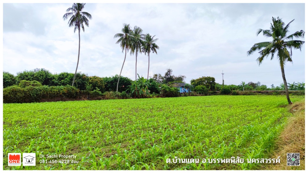 ขายที่ดินนครสวรรค์ : ขายที่ดินสวย ติดแม่น้ำปิง 13-3-72 ไร่ ต.บ้านแดน อ.บรรพตพิสัย จ.นครสวรรค์