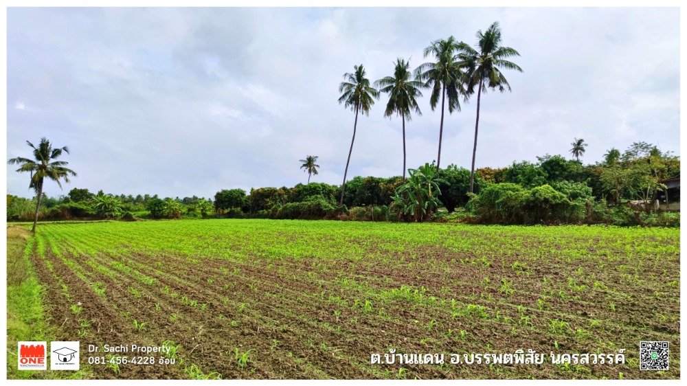 ขายที่ดินนครสวรรค์ : ขายที่ดินสวย ติดแม่น้ำปิง 13-3-72 ไร่ ต.บ้านแดน อ.บรรพตพิสัย จ.นครสวรรค์