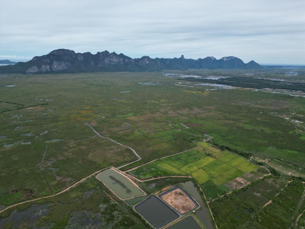 ขายที่ดินหัวหิน ประจวบคีรีขันธ์ : ขายที่ดิน 2000 ไร่  ที่ดินตั้งอยู่ในเขต ต.ศิลาลอย อ.ปราณบุรี จ.ประจวบคีรีขันธ์ (บ้านหนองคาง) ห่างจากถนนเพชรเกษม กม. 268 ระยะทาง 3 กม.