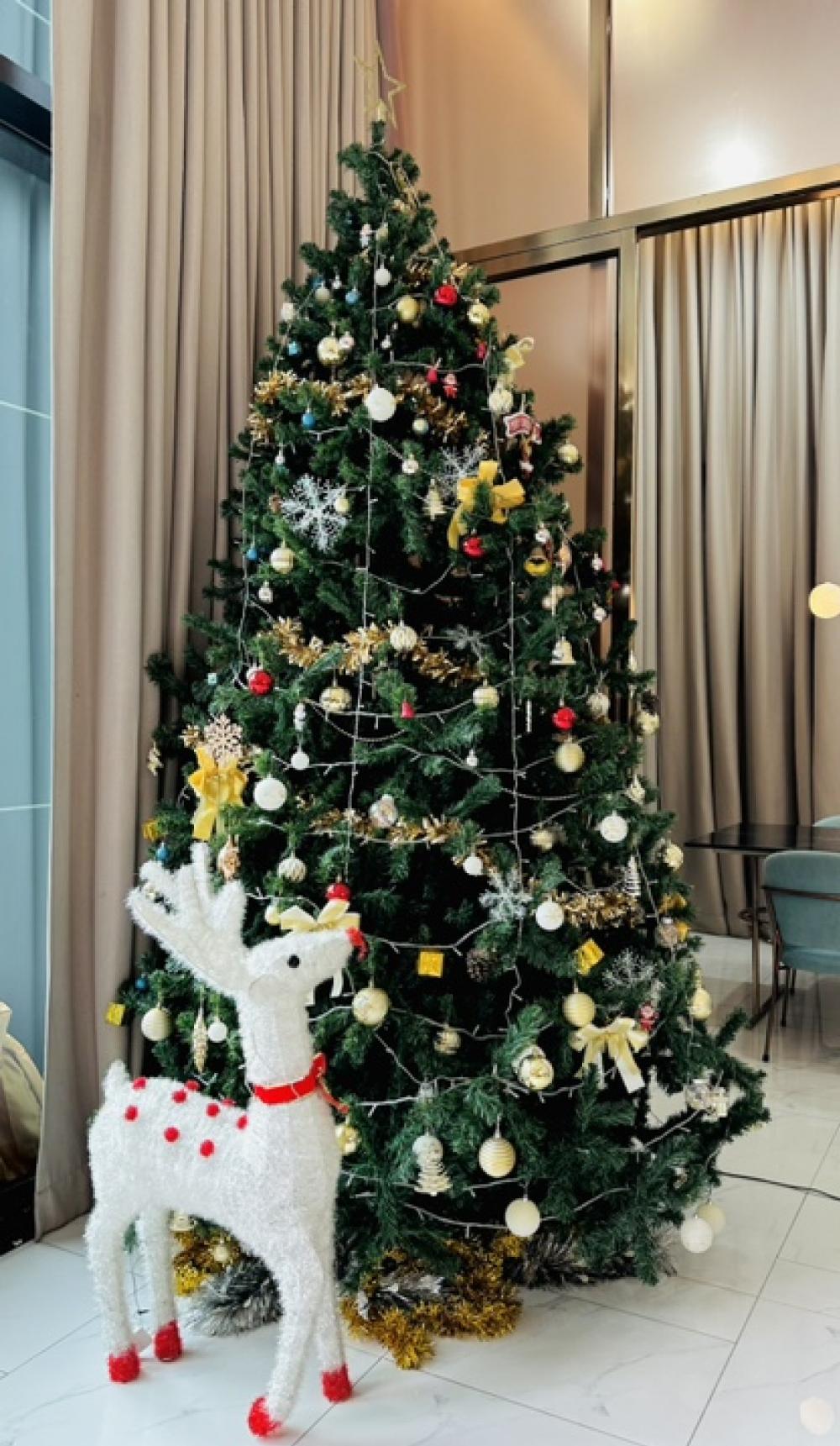 For RentCondoVipawadee, Don Mueang, Lak Si : Owner Post 
💡Available in Sep. 2026💡
The Origin Phahol-Saphanmai close to BTS Station (Green Line)
🩶Fully Furnished
🩶Electrical Appliances
🩶Near Don Mueang Airport