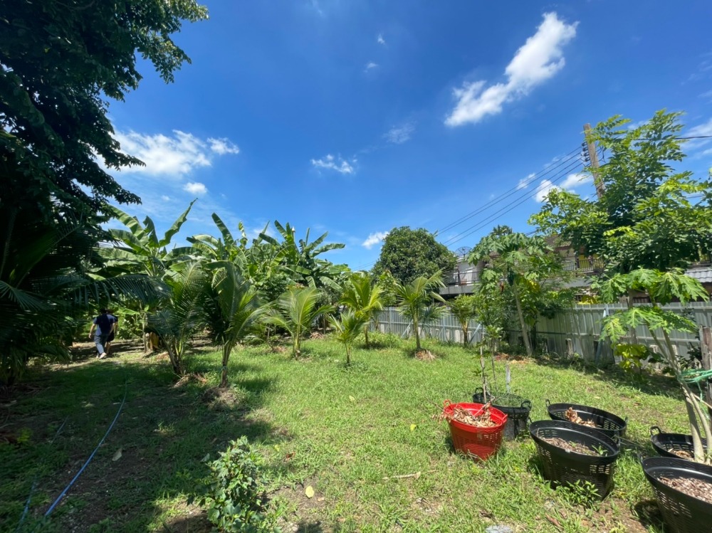 ขายที่ดินสุขุมวิท อโศก ทองหล่อ : ที่ดิน เอกมัย 22 / 3 งาน 52 ตารางวา (ขาย), Land Ekkamai 22 / 1,420 Square Meter (FOR SALE) T533