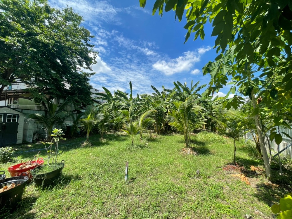 ขายที่ดินสุขุมวิท อโศก ทองหล่อ : ที่ดิน เอกมัย 22 / 3 งาน 52 ตารางวา (ขาย), Land Ekkamai 22 / 1,420 Square Meter (FOR SALE) T533