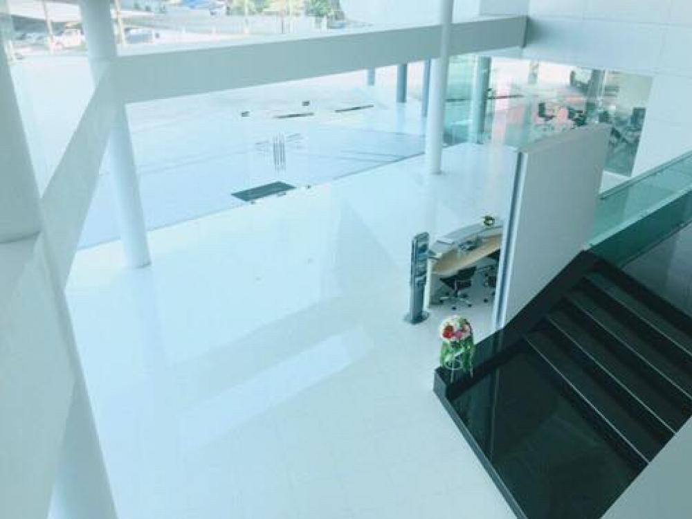 ให้เช่าโชว์รูมพัทยา บางแสน ชลบุรี สัตหีบ : เช่าโชว์รูมรถยนต์ติดถนนสุขุมวิท 7-2-55 ไร่ แถวอมตะนครซิตี้ ชลบุรี 11,000 ตร.ม สภาพดีมาก