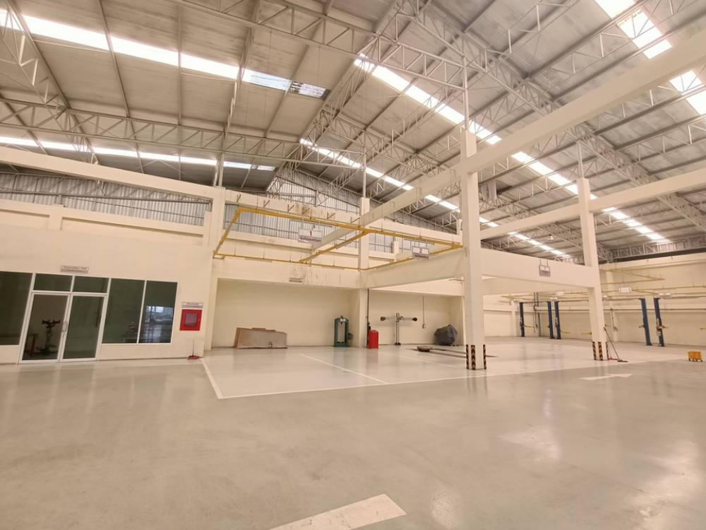 ให้เช่าโชว์รูมพัทยา บางแสน ชลบุรี สัตหีบ : เช่าโชว์รูมรถยนต์ติดถนนสุขุมวิท 7-2-55 ไร่ แถวอมตะนครซิตี้ ชลบุรี 11,000 ตร.ม สภาพดีมาก