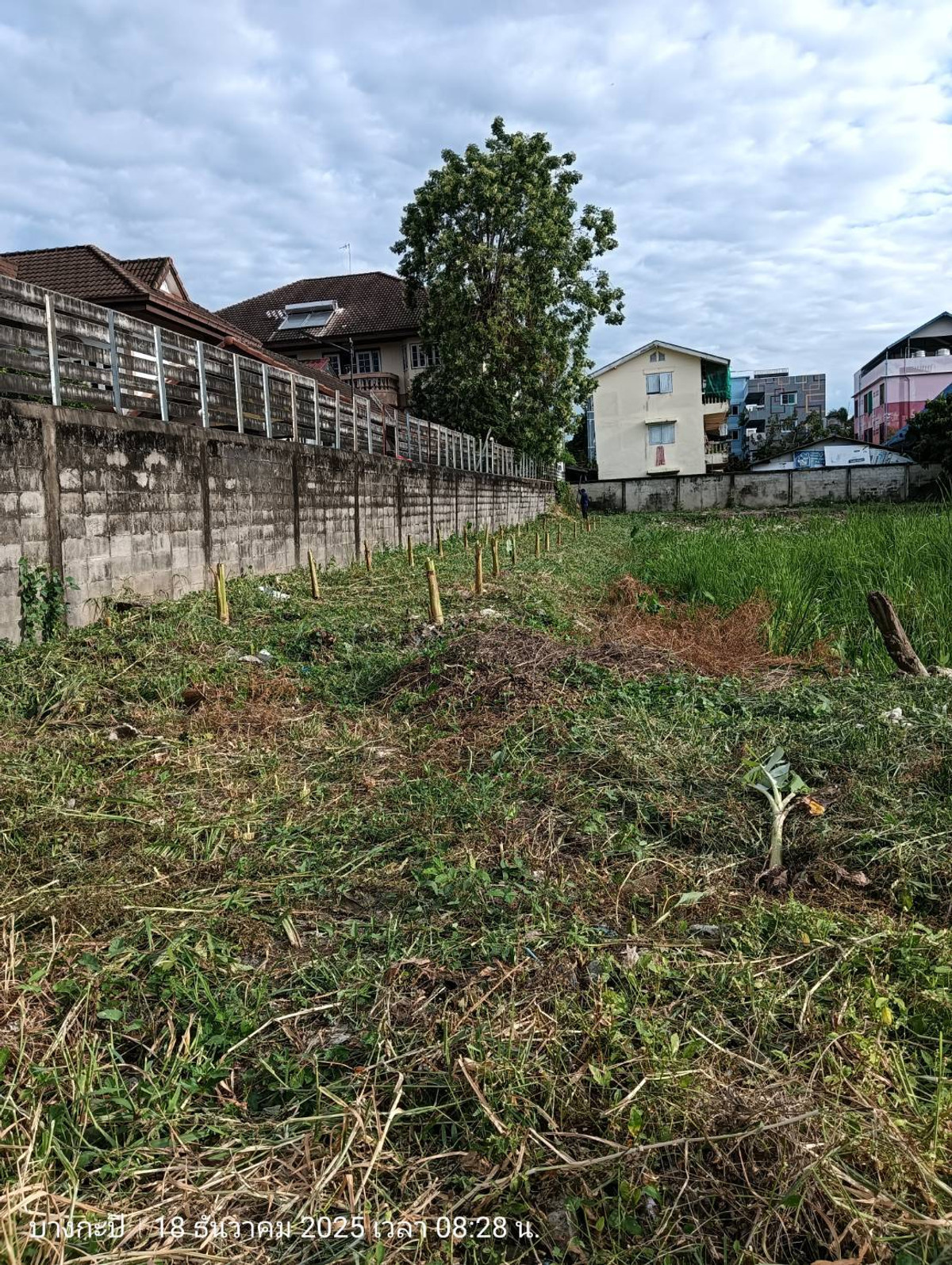 For SaleLandPattanakan, Srinakarin : 1 rai of land, Soi Srinakarin 5