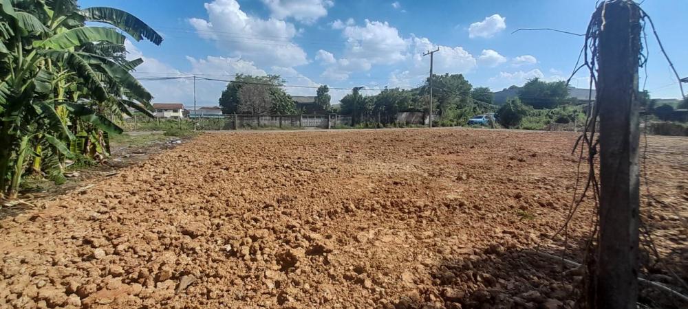 ให้เช่าที่ดินปทุมธานี รังสิต ธรรมศาสตร์ : ✨ลดพิเศษ🎈SPECIAL DISCOUNT“Owner Post” ปล่อยเช่าที่ดิน 792 ตร.ม.ใกล้ BTS สายสีเขียว (BTS คูคต) ลำลูกกา ที่ดินถมแล้ว