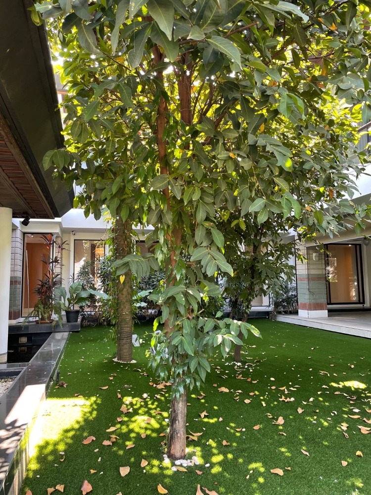 For RentHousePattanakan, Srinakarin : Luxury 7bedroom house for rent