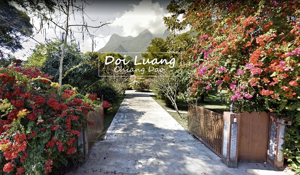 For SaleHouseChiang Mai : Selling a private guesthouse in a luxury resort style in the midst of nature View of Doi Luang Chiang Dao, Chiang Mai Province, land size 2.5 rai, with 5+1 houses, 20 million
