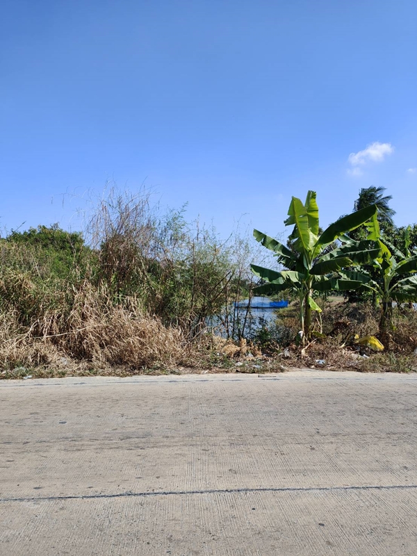 For SaleLandSamut Prakan,Samrong : Sale of land 10 rai 174 square wa. Soi Thanasit, Theparak Road, Bang Pla , Bang Phli , Samut Prakan.