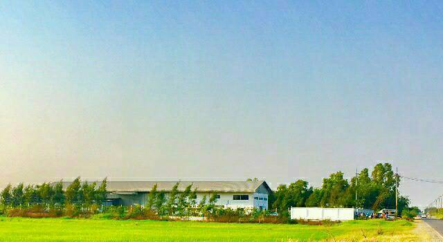 For SaleFactoryChachoengsao : Selling furniture factory business, Suwinthawong Road, Klong Udom Chonchon Subdistrict, Mueang District, Chachoengsao Province