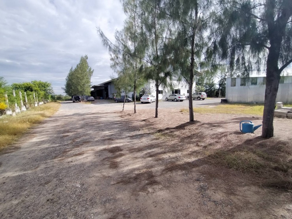 For SaleFactoryChachoengsao : Selling furniture factory business, Suwinthawong Road, Klong Udom Chonchon Subdistrict, Mueang District, Chachoengsao Province