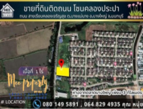 ขายที่ดินนนทบุรี บางใหญ่ บางบัวทอง : ขายที่ดิน 1 ไร่ ถนน.เลียบคลองเจริญสุข บางแม่นาง นนทบุรี ME-006