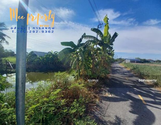 ขายที่ดินนนทบุรี บางใหญ่ บางบัวทอง : ขายที่ดิน 1 ไร่ ถนน.เลียบคลองเจริญสุข บางแม่นาง นนทบุรี ME-006