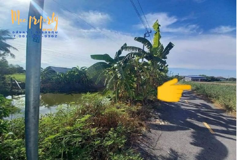ขายที่ดินนนทบุรี บางใหญ่ บางบัวทอง : ขายที่ดิน 1 ไร่ ถนน.เลียบคลองเจริญสุข บางแม่นาง นนทบุรี ME-006