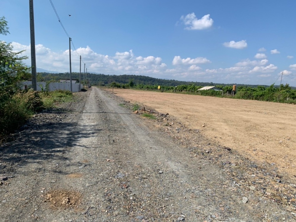 ขายที่ดินเชียงใหม่ : แบ่งขาย ที่ดิน 100 ตารางวา วิวภูเขา อ.แม่ริม จ.เชียงใหม่ ถมเรียบร้อยแล้ว