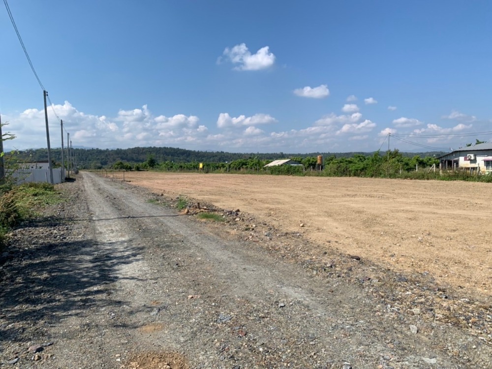 ขายที่ดินเชียงใหม่ : แบ่งขาย ที่ดิน 100 ตารางวา วิวภูเขา อ.แม่ริม จ.เชียงใหม่ ถมเรียบร้อยแล้ว