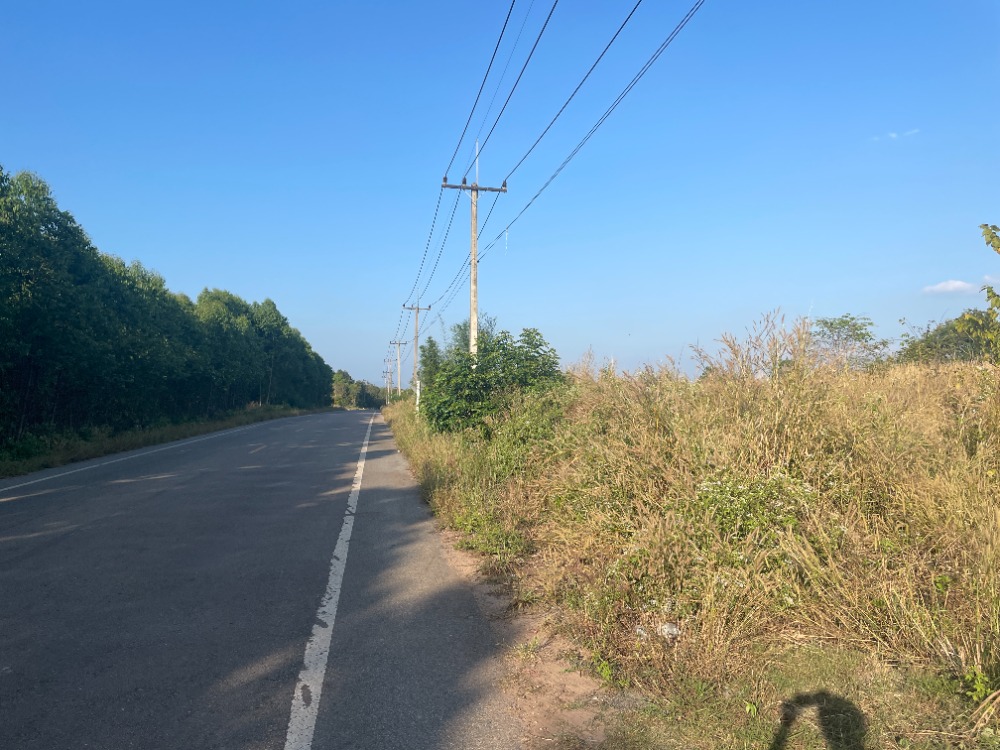 For SaleLandPrachin Buri : Land near Big Moutain 3-2-99 Rai