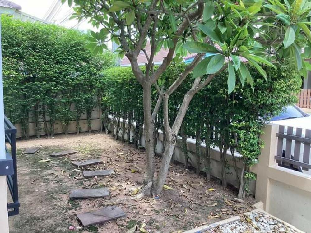 ขายบ้านพัทยา บางแสน ชลบุรี สัตหีบ : ขายบ้านเดี่ยวชั้นเดียว บางเสร่ บ้านสวยมาก