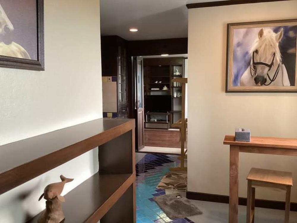 ให้เช่าคอนโดพัทยา บางแสน ชลบุรี สัตหีบ : Condo for Rent VIP Pattaya