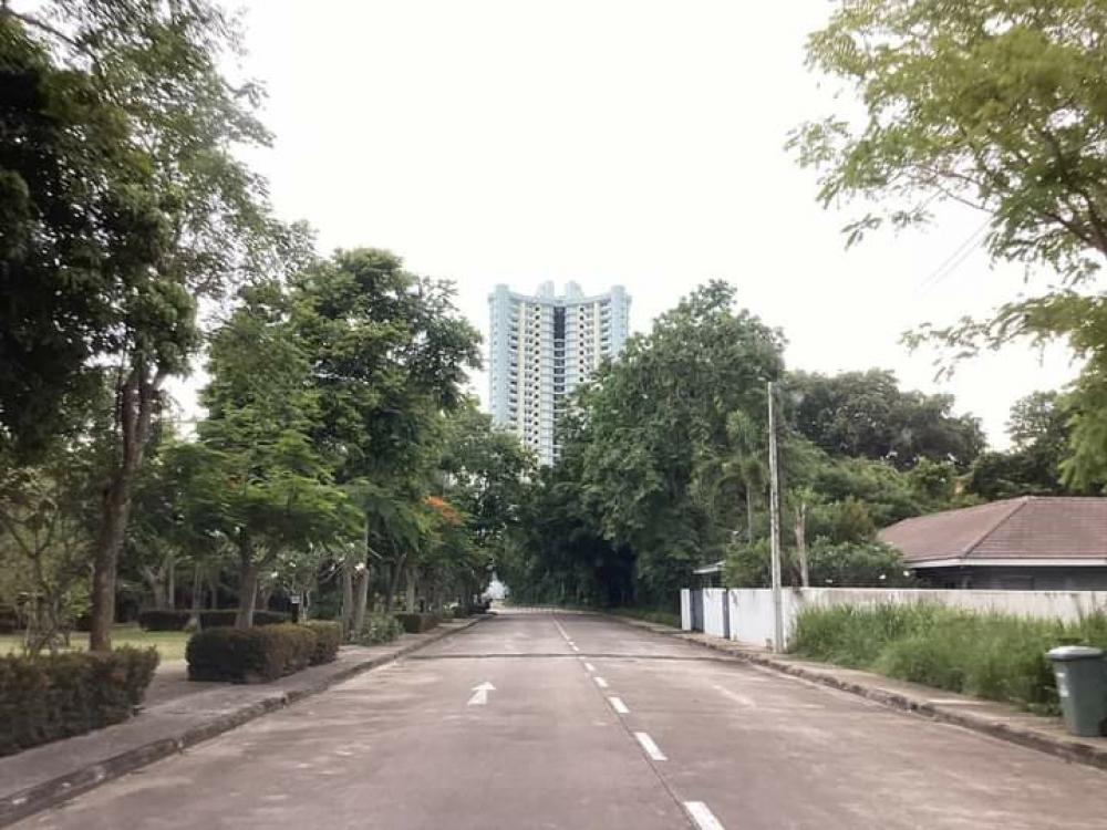 ให้เช่าคอนโดพัทยา บางแสน ชลบุรี สัตหีบ : Condo for Rent VIP Pattaya