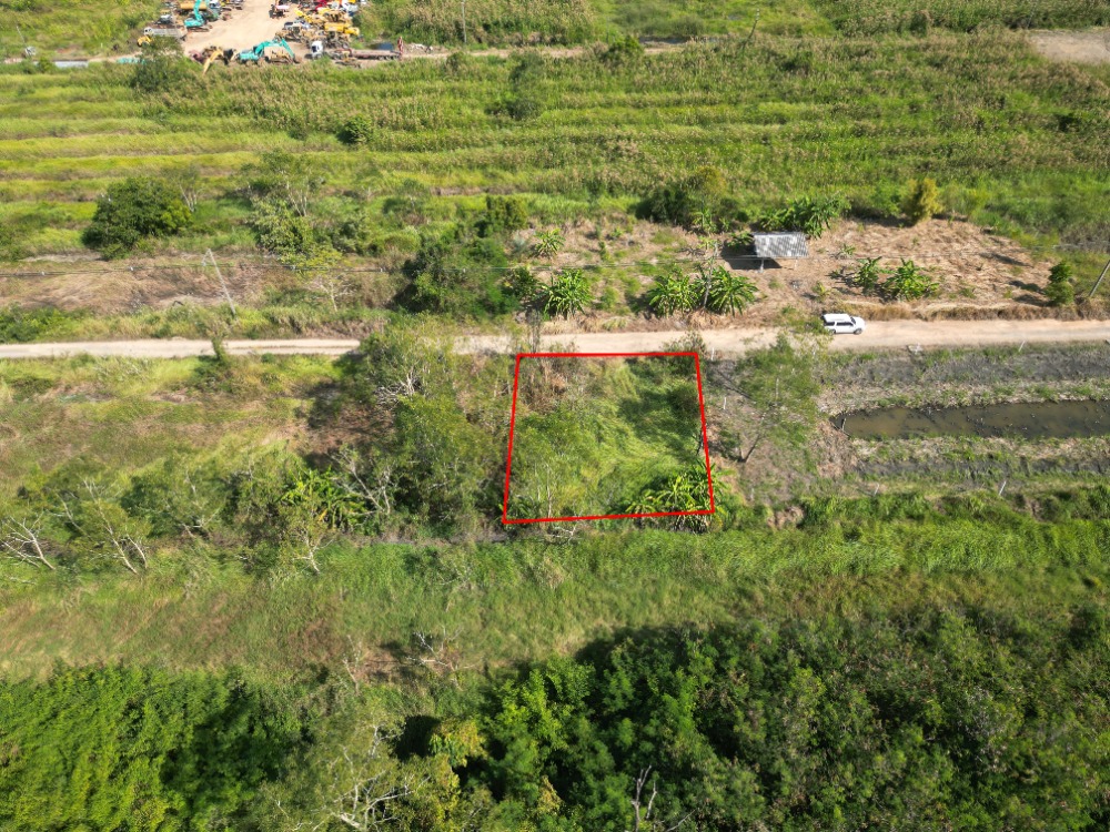 For SaleLandPathum Thani,Rangsit, Thammasat : Land for sale, Khlong 11, Thanyaburi District, Pathum Thani Province, size 1 ngan.